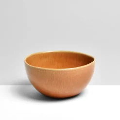 Bols|Céladon Paris Bol moyen | Terracotta sienna