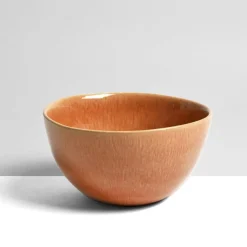 Bols|Céladon Paris Grand bol rond | Terracotta sienna