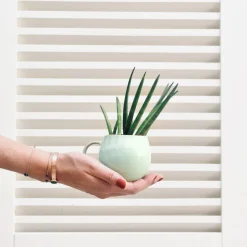 Bar À Mugs|Céladon Paris Mug moyen | Vert audacieux