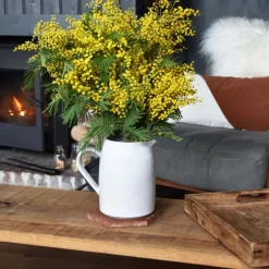 Pichets Et Vases|Céladon Paris Pichet rond | Blanc audacieux