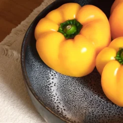 Plats Et Saladiers|Céladon Paris Plat de service rond | Noir écume