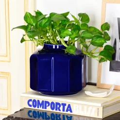 Lifestyle|Pichets Et Vases|Céladon Paris Vase Baixo | Indigo